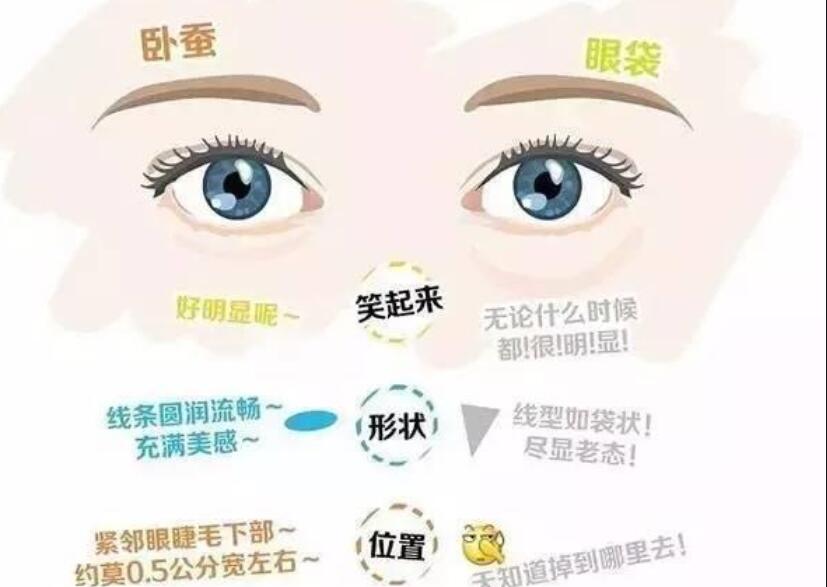 眼袋還是臥蠶，快來學(xué)辨別的方法