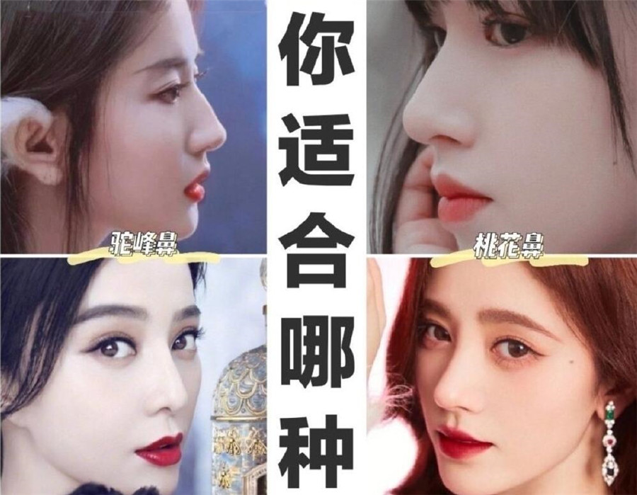 世界公認(rèn)好看的鼻形，你喜歡哪一款？
