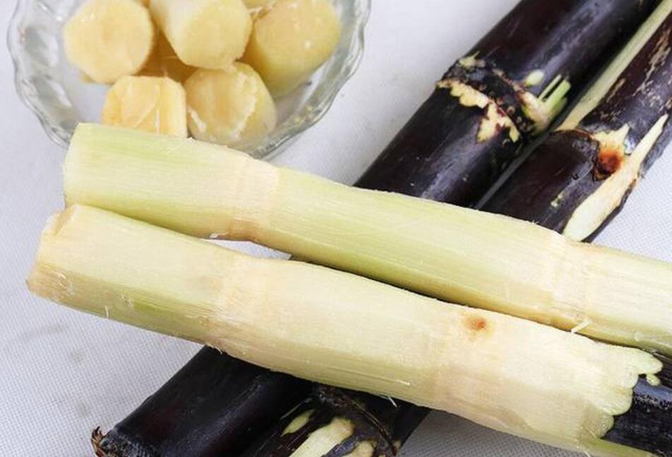 秋冬適合吃什么？南寧教美容養(yǎng)生的學(xué)校分享給你
