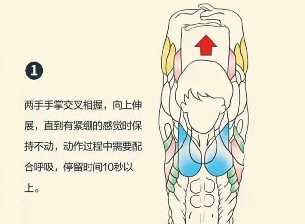 南寧美容師培訓(xùn)要學(xué)什么？背部護(hù)理就是其中一項(xiàng)