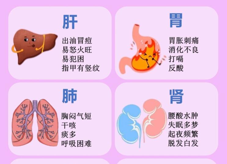6大臟器保養(yǎng)指南，6款養(yǎng)生茶喝起來 ???