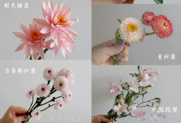 認識常見花朵的名稱，廣西插花學?；ㄋ嚺嘤柣A