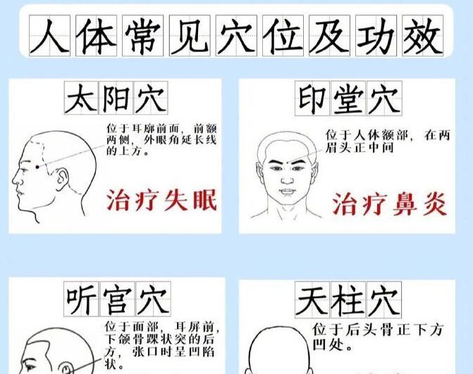 人體常見穴 位及功效，廣西專業(yè)正規(guī)美容學(xué)校講解