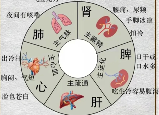 人體不同部位受寒的表現(xiàn)，廣西中醫(yī)美容培訓(xùn)分享