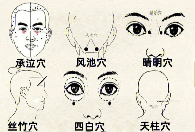 南寧皮膚管理培訓(xùn)班：九個護(hù)眼部位 ??