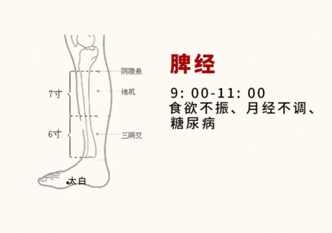 日常容易堵塞的身體部位，廣西美容基礎(chǔ)教學(xué)