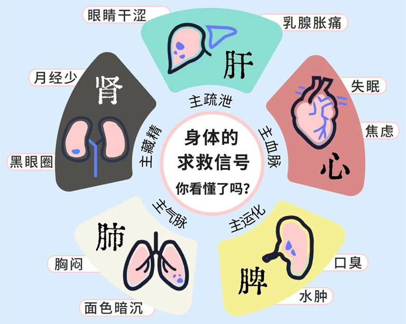 南寧專業(yè)美容管理學(xué)校：五臟六腑如何管理？