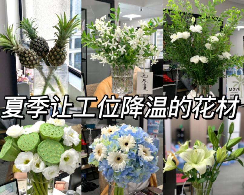自帶降溫效果的花材，廣西學(xué)鮮花技術(shù)