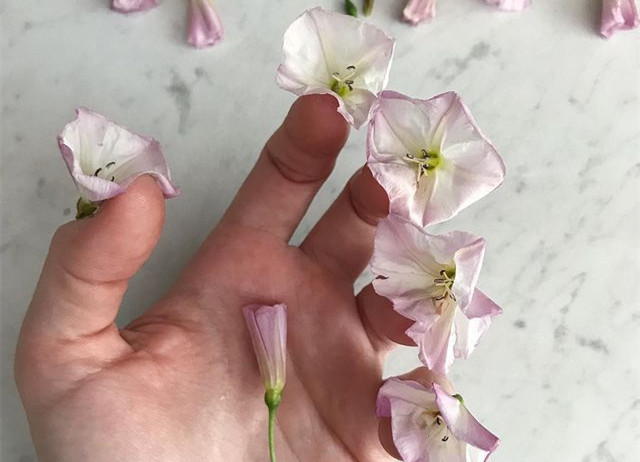 植物藝術(shù)美甲，南寧美甲造型設(shè)計(jì)培訓(xùn)分享