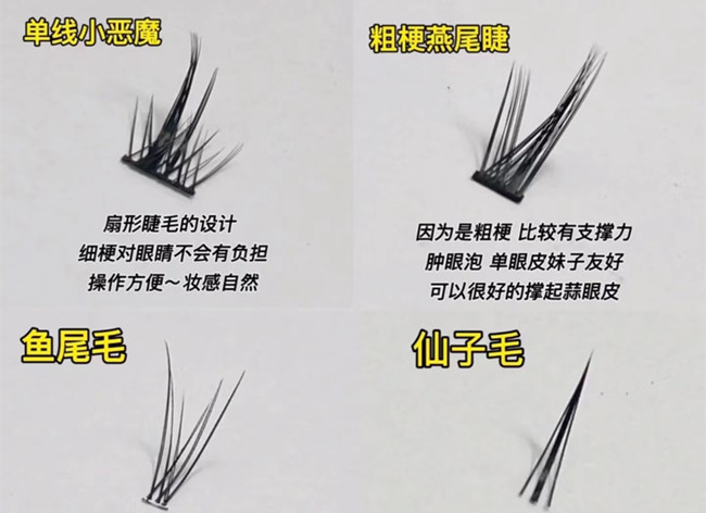 假睫毛科普知識，廣西化妝基礎(chǔ)