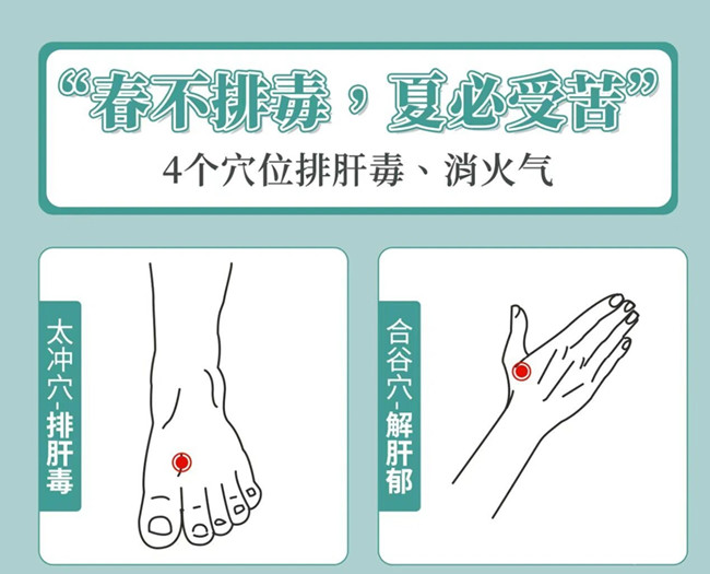 南寧美容健康管理：春季如何養(yǎng)生？