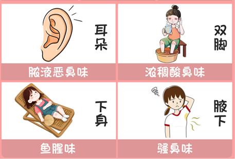 體味重的部位和緩解方法，廣西美容美體專業(yè)介紹