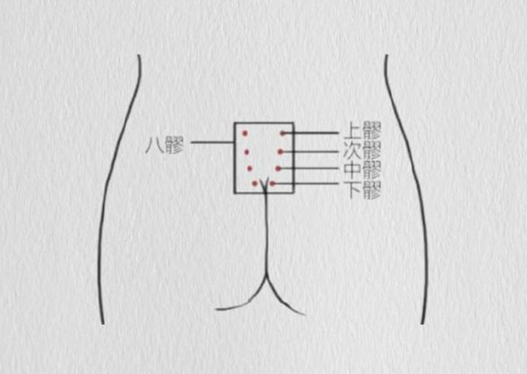 護(hù)理八髎的重要性，美容美體專業(yè)介紹