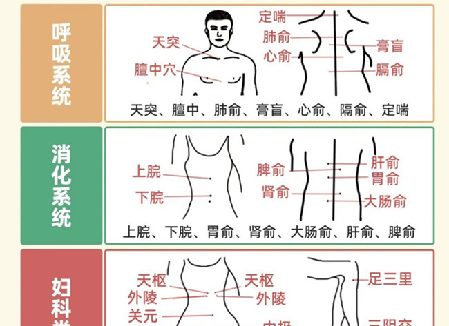 不同部位三伏貼艾灸作用，廣西美體中醫(yī)培訓(xùn)